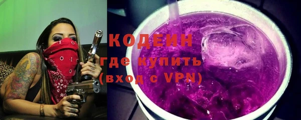 дурь Инта