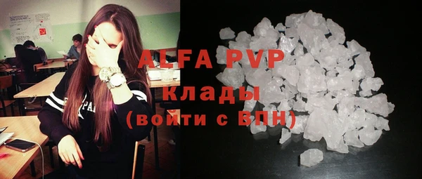 дурь Инта