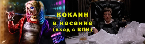индика Иннополис