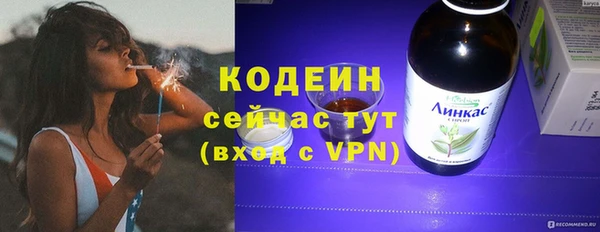 индика Иннополис