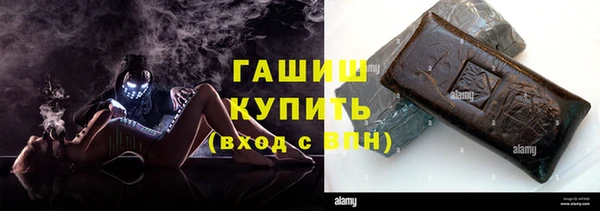 индика Иннополис