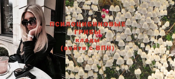 мет Инсар