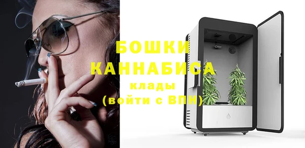 индика Иннополис