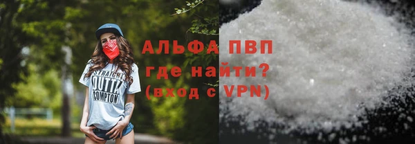 дурь Инта