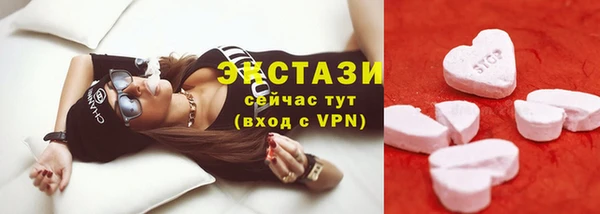 индика Иннополис