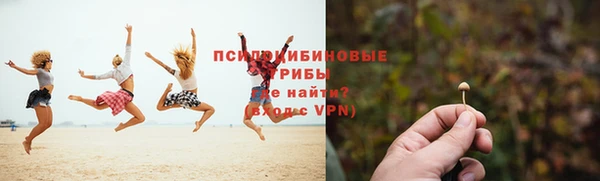 индика Иннополис