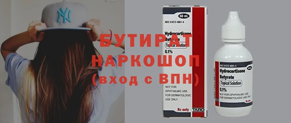 индика Иннополис