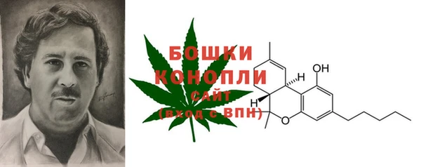 индика Иннополис