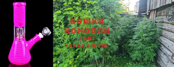 индика Иннополис
