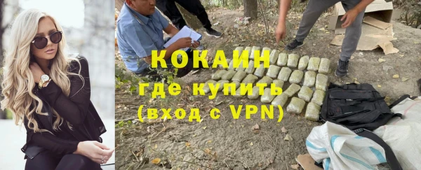 дурь Инта