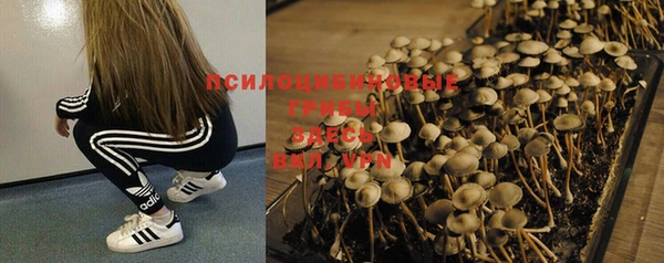 индика Иннополис