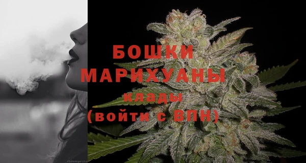 дурь Инта