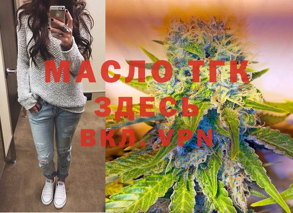 дурь Инта