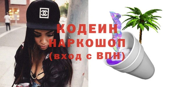 дурь Инта