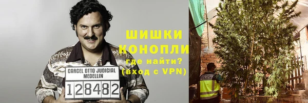 мет Инсар