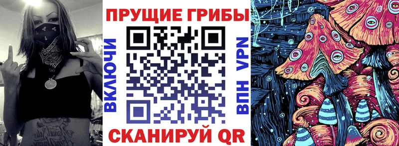 Псилоцибиновые грибы Psilocybine cubensis  Купить где  Большой Камень 
